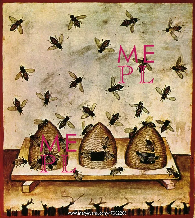 : Apiculture, Beekeeping, 14th Century : Apiculture, Beekeeping, 14th Century
