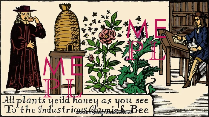 : Apiculture, Beekeeping, 18 Century : Apiculture, Beekeeping, 18 Century