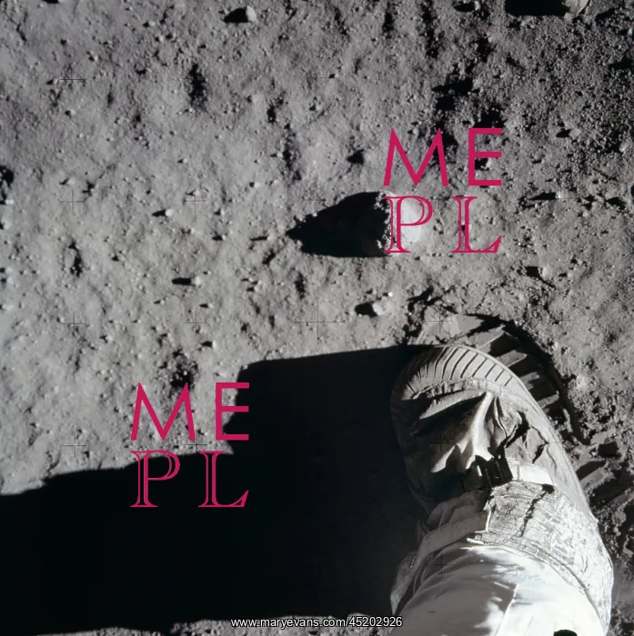 : Apollo 11 astronaut boot and boot print ? : Apollo 11 astronaut boot and boot print ?