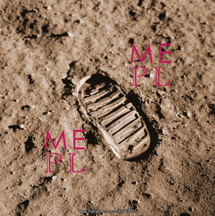 : Apollo 11, Buzz Aldrin Bootprint, 1969 : Apollo 11, Buzz Aldrin Bootprint, 1969