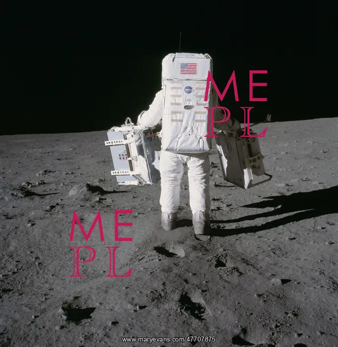 : Apollo 11, Buzz Aldrin Deploys Experiments, 1969 : Apollo 11, Buzz Aldrin Deploys Experiments, 1969