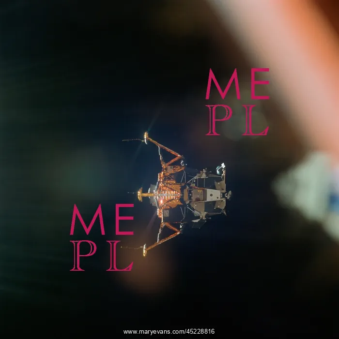 : The Apollo 11 Lunar Module. The LM has separated ? : The Apollo 11 Lunar Module. The LM has separated ?