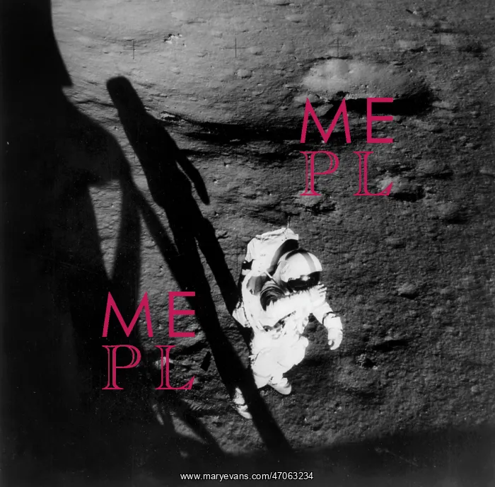: Apollo 14 Astronauts : Apollo 14 Astronauts
