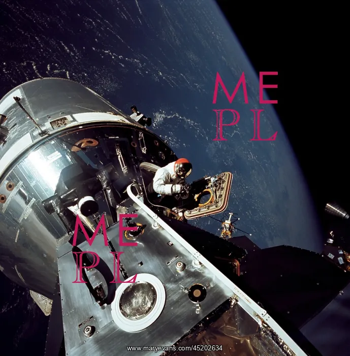 : Apollo 9 astronaut Dave Scott stands in ? : Apollo 9 astronaut Dave Scott stands in ?