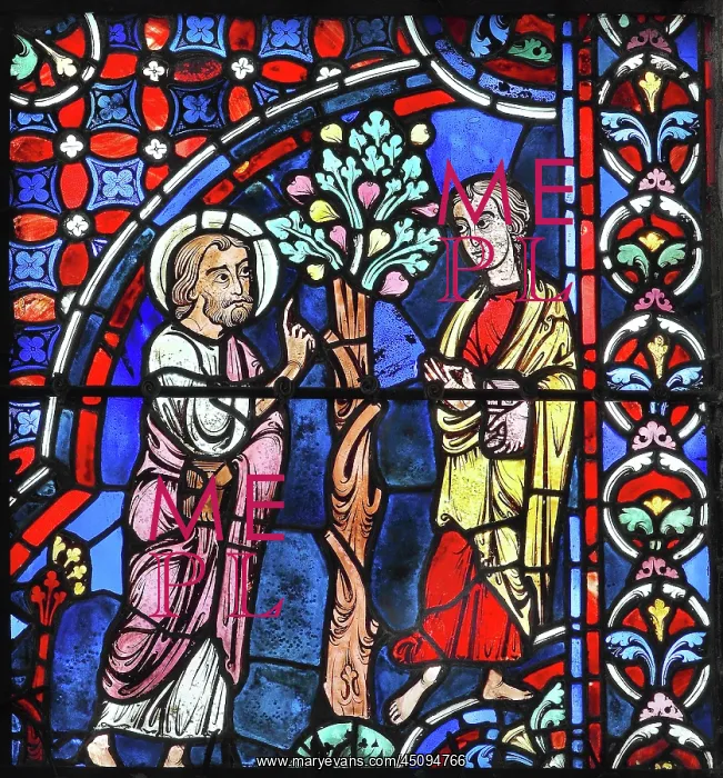 : Apostles stained glass window, Chartres cathedral, France : Apostles stained glass window, Chartres cathedral, France