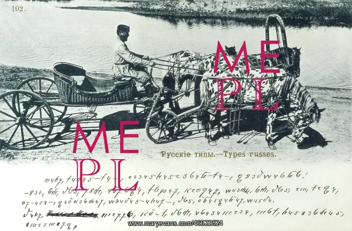: Appalusia Horse-pulled cart : Appalusia Horse-pulled cart