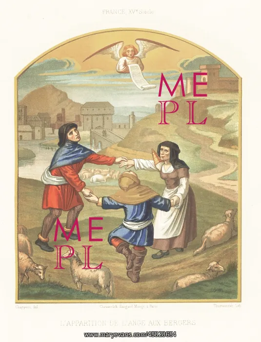 : The apparation of the angel to the shepherds : The apparation of the angel to the shepherds
