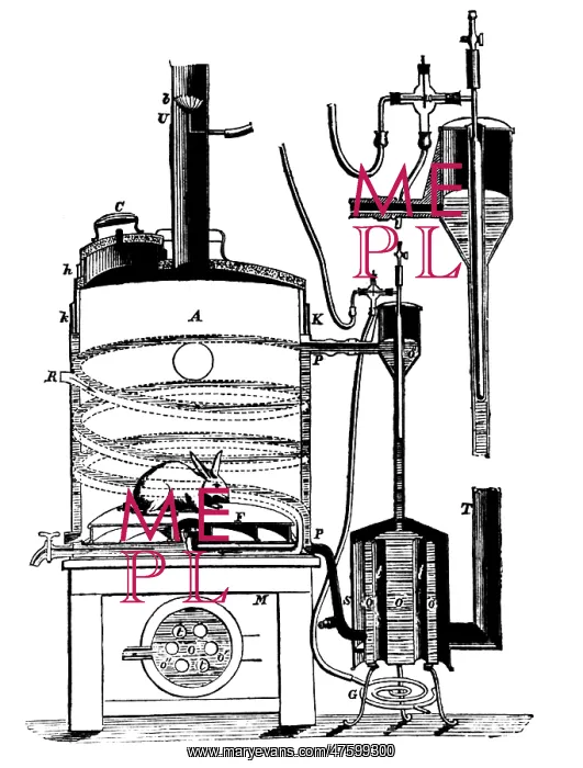 : Apparatus Used by Bernard to Study of the Effects of Heat on : Apparatus Used by Bernard to Study of the Effects of Heat on