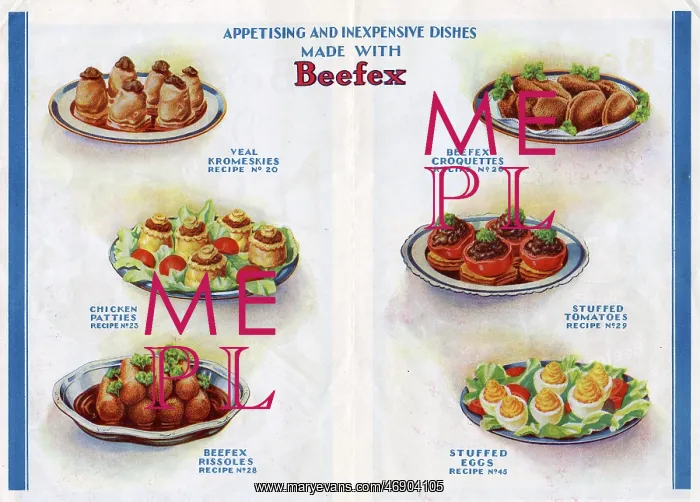 : Appetising and inexpensive dishes made with Beefex : Appetising and inexpensive dishes made with Beefex