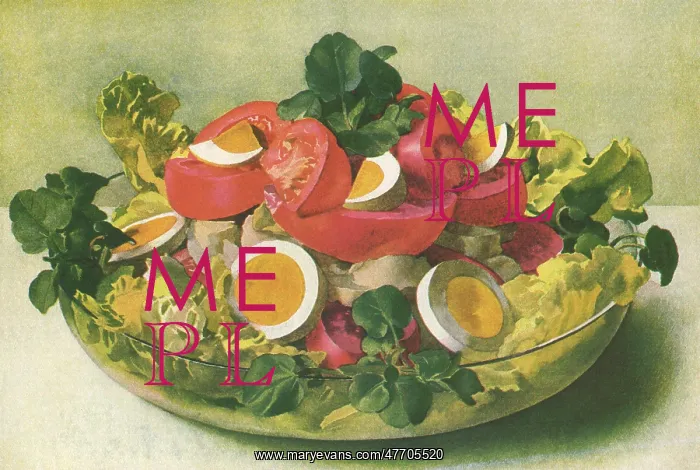 : Appetizing Salad Bowl : Appetizing Salad Bowl
