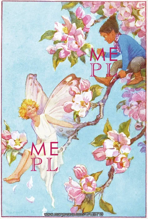 : Apple Blossom : Apple Blossom