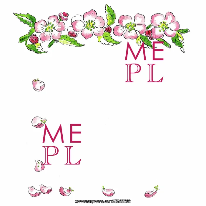  : Apple Blossom
