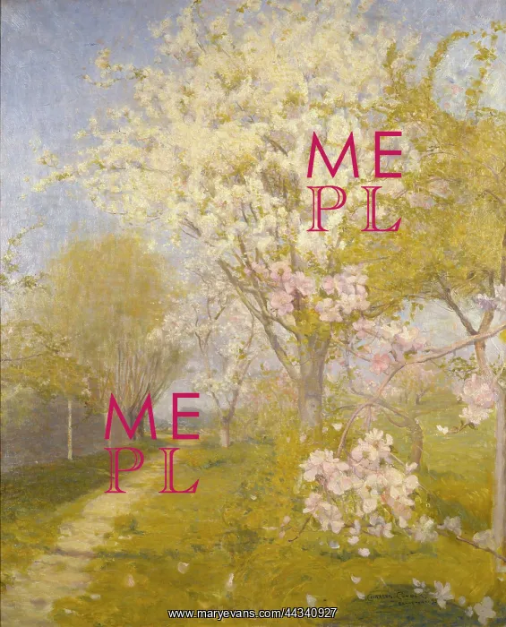 : Apple Blossom at Dennemont : Apple Blossom at Dennemont