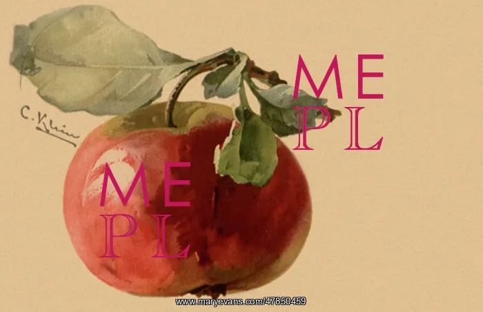  : Apple on Branch