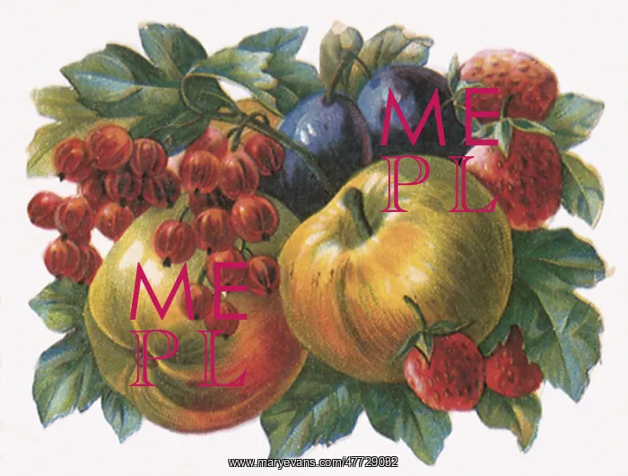  : Apple Gooseberry