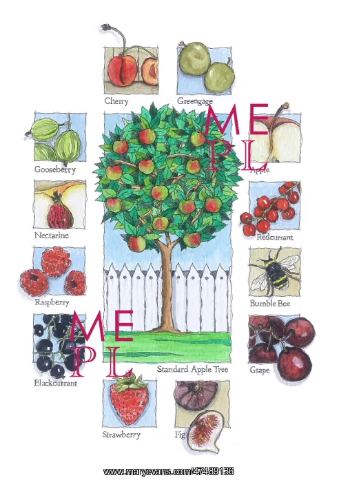 : Apple Tree surrounded by various fruits : Apple Tree surrounded by various fruits