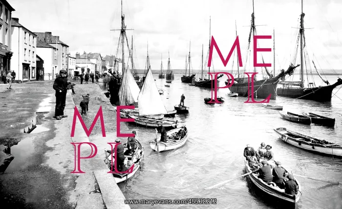  : Appledore, Quay 1923