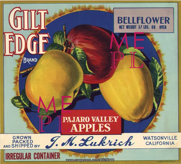  : Apples