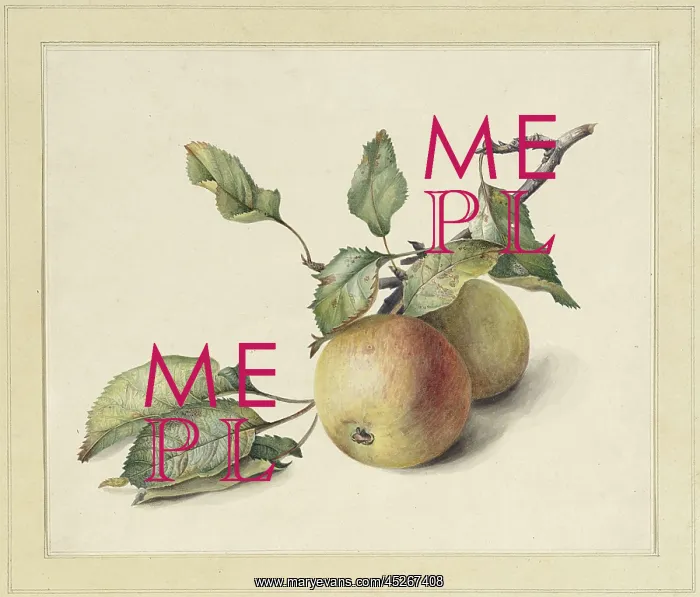 : Two Apples on a Branch : Two Apples on a Branch