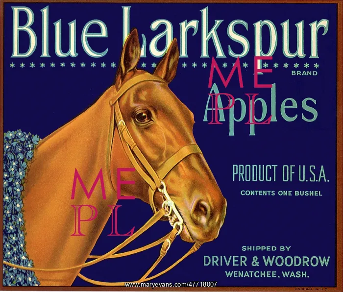  : Apples Label