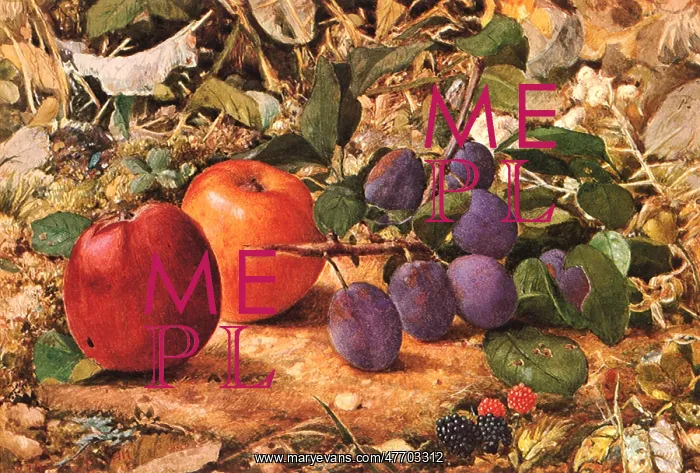  : Apples, Plums, Berries