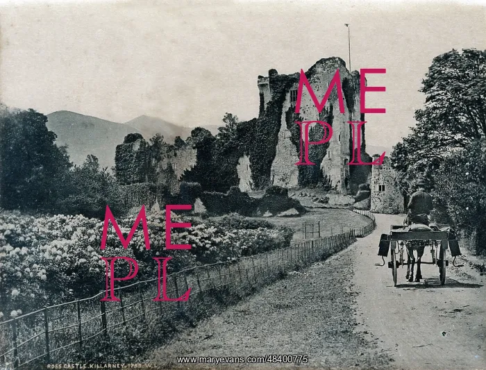  : Approaching Ross Castle, Killarney, County Kerry, Ireland