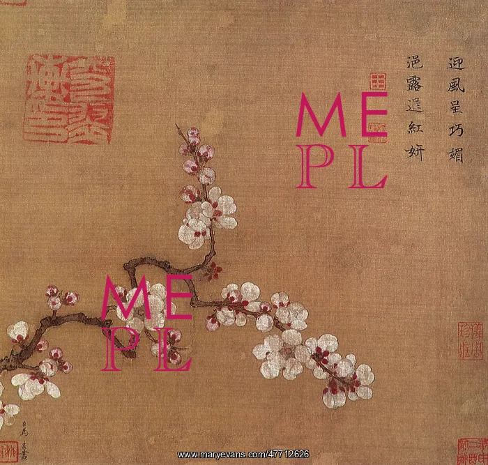  : Apricot Blossoms