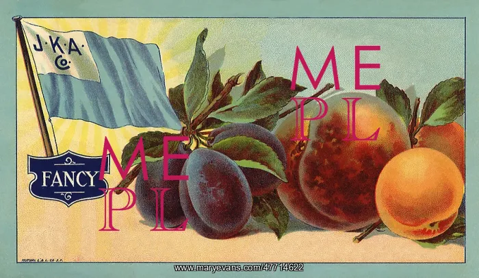 : Apricot Fruit Label