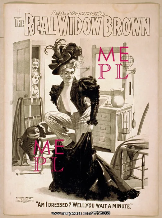 : AQ Scammon's The real Widow Brown : AQ Scammon's The real Widow Brown