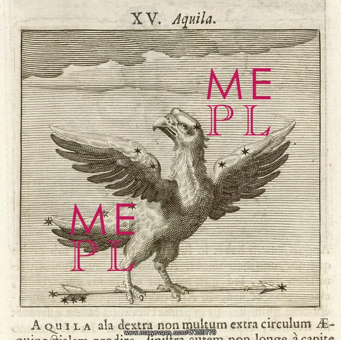  : AQUILA 1681