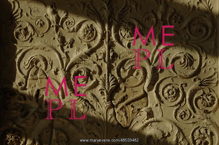 : Ara Pacis Augustae. Scrolling acanthus relief : Ara Pacis Augustae. Scrolling acanthus relief