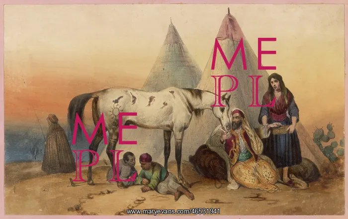 : ARAB AND ARAB HORSE : ARAB AND ARAB HORSE