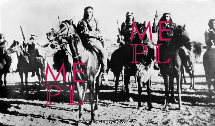 : Arab army in the battle for Palestine, 1938 : Arab army in the battle for Palestine, 1938