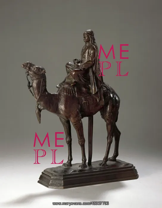 : Arab on a dromedary camel : Arab on a dromedary camel