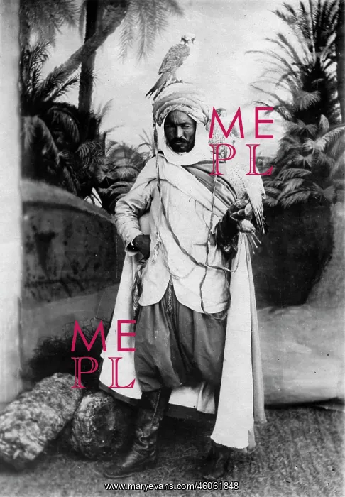  : Arab falconer