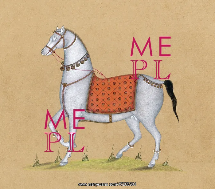 : ARAB OR INDIAN HORSE : ARAB OR INDIAN HORSE