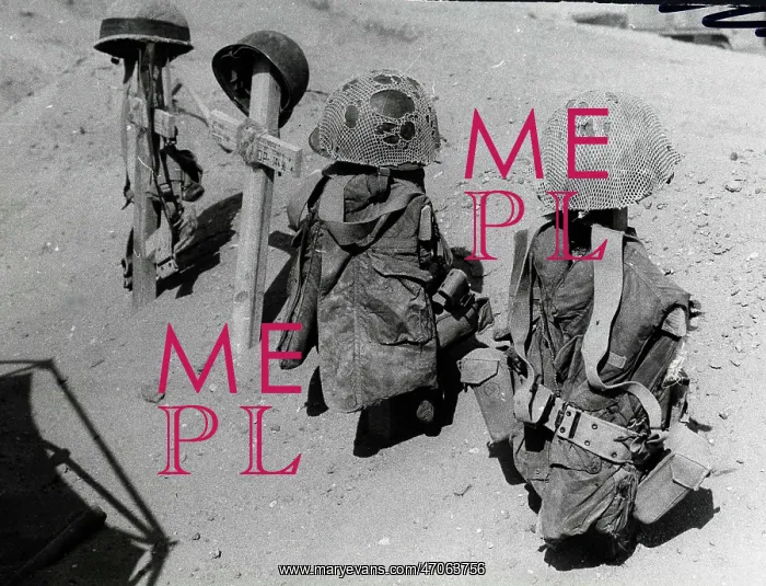 : Arab Israeli War : Arab Israeli War