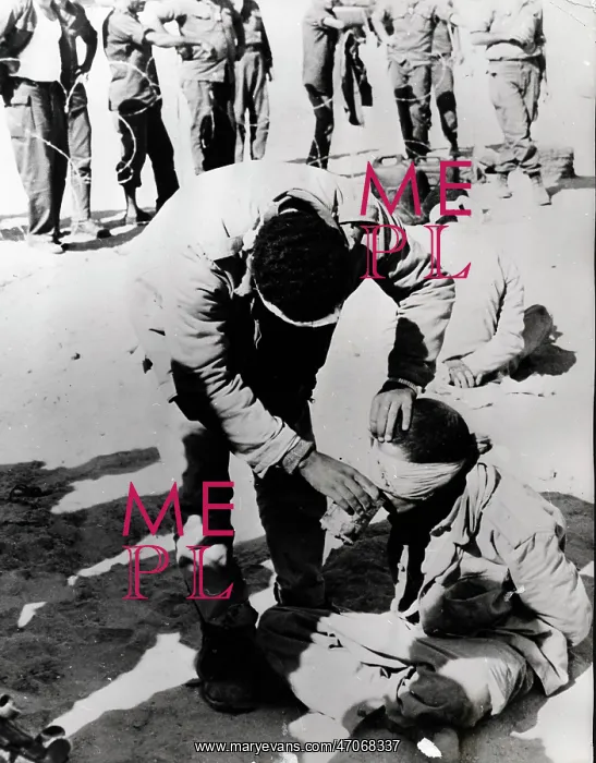 : Arab Israeli War : Arab Israeli War