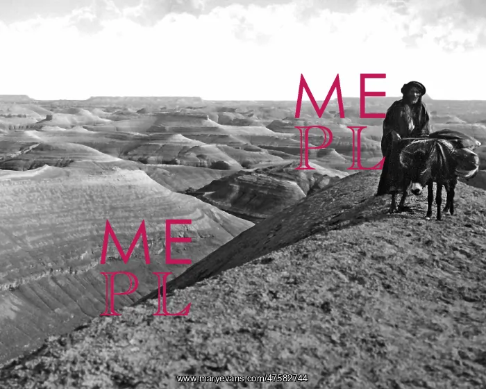 : Arab man and mule, Holy Land : Arab man and mule, Holy Land
