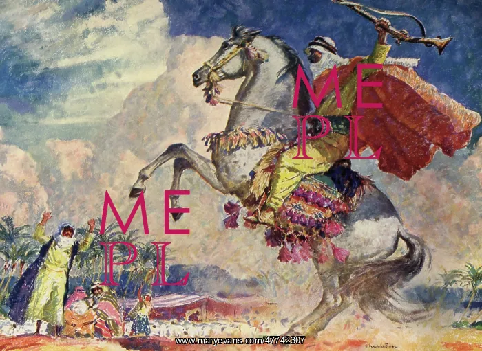  : Arab man on white horse