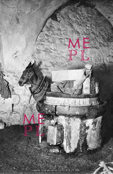 : Arab oil mill and donkey, Jerusalem : Arab oil mill and donkey, Jerusalem