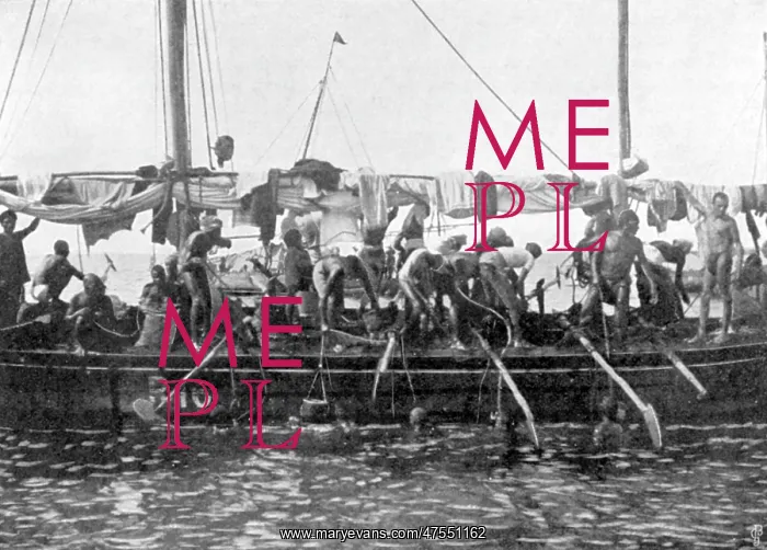 : Arab pearl divers at work, 1903 : Arab pearl divers at work, 1903