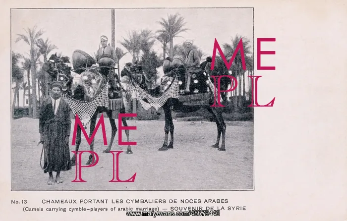 : Arab Wedding - Drummers mounted on camels - Syria : Arab Wedding - Drummers mounted on camels - Syria