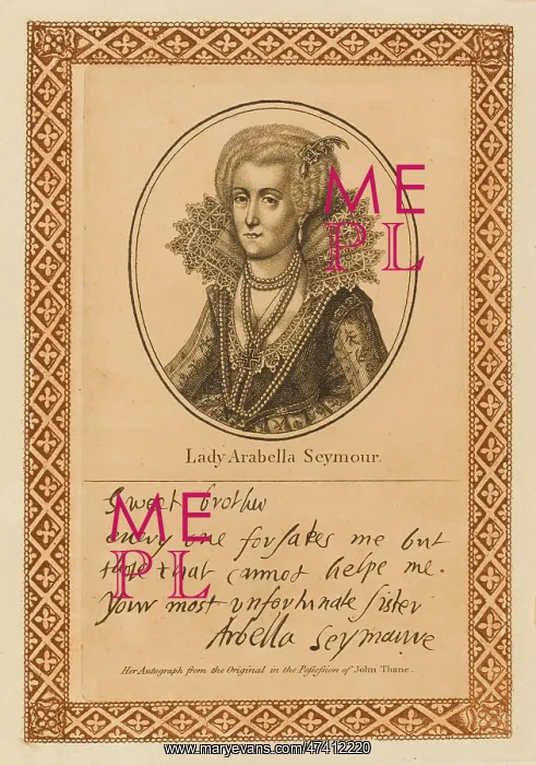 : ARABELLA SEYMOUR : ARABELLA SEYMOUR