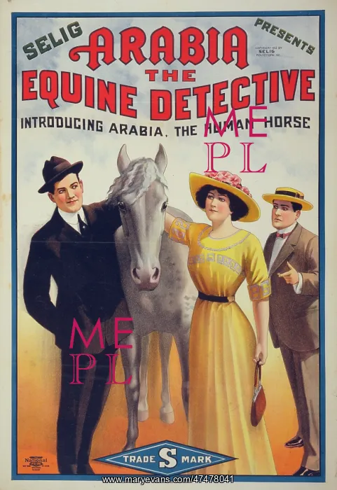 : Arabia the equine detective : Arabia the equine detective