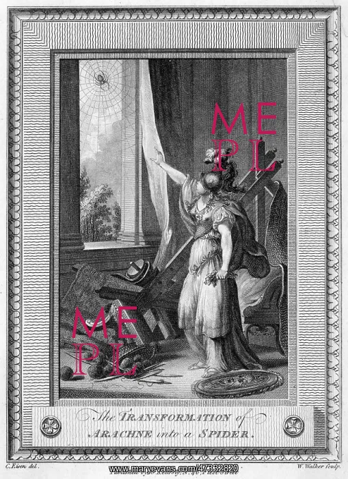 : ARACHNE INTO SPIDER : ARACHNE INTO SPIDER