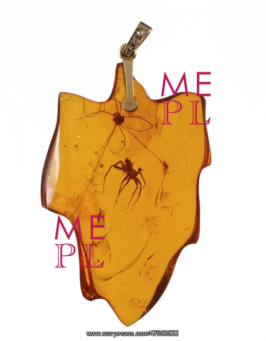 : Arachnids in an amber pendant : Arachnids in an amber pendant