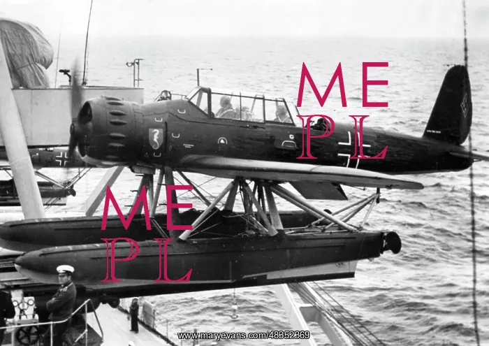 : Arado Ar 196 Seaplane, 1939 : Arado Ar 196 Seaplane, 1939