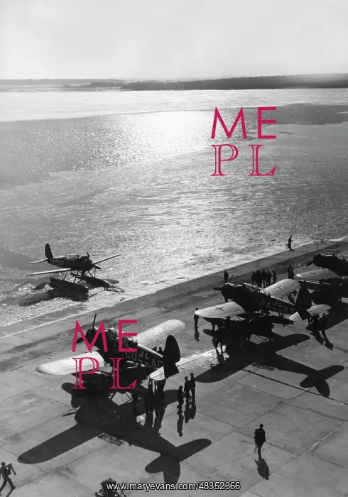 : Arado Ar 196 Seaplane, 1940 : Arado Ar 196 Seaplane, 1940