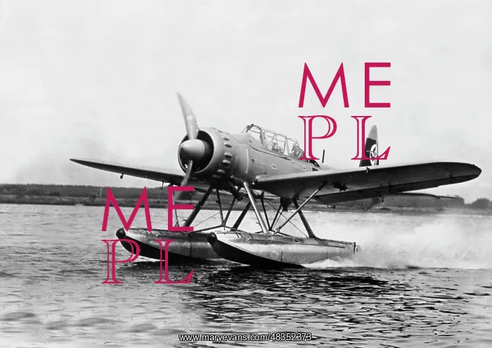 : Arado Ar 196 Seaplane, 1940 : Arado Ar 196 Seaplane, 1940